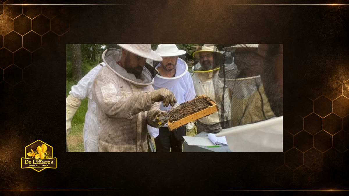 20 de mayo Día Mundial de las Abejas