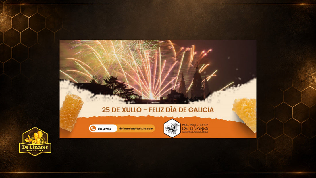 25 de xullo Feliz Día de Galicia