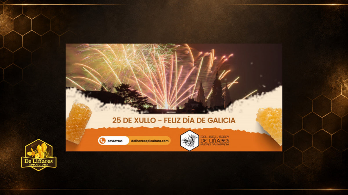 25 de xullo Feliz Día de Galicia