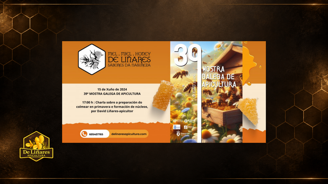 39ª Mostra Galega de Apicultura en Arzúa