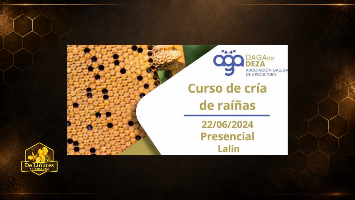 Curso sobre la cría de abejas reina en Lalín