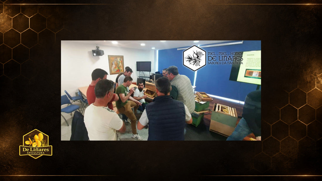 Curso sobre la cría de abejas reina en Lalín