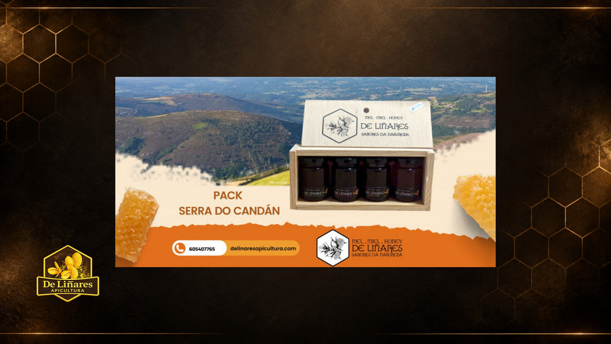 Descubre el Pack Serra do Candán y embárcate en un Viaje Sensorial