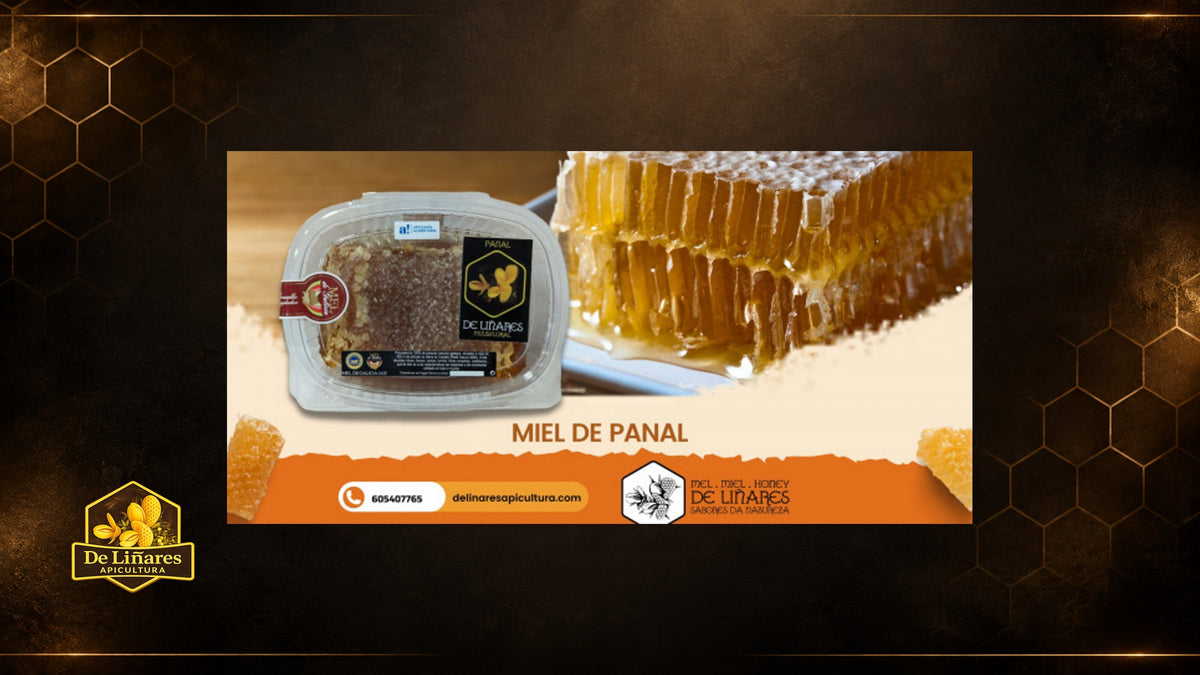 Descubre la Miel de Panal de De Liñares Apicultura
