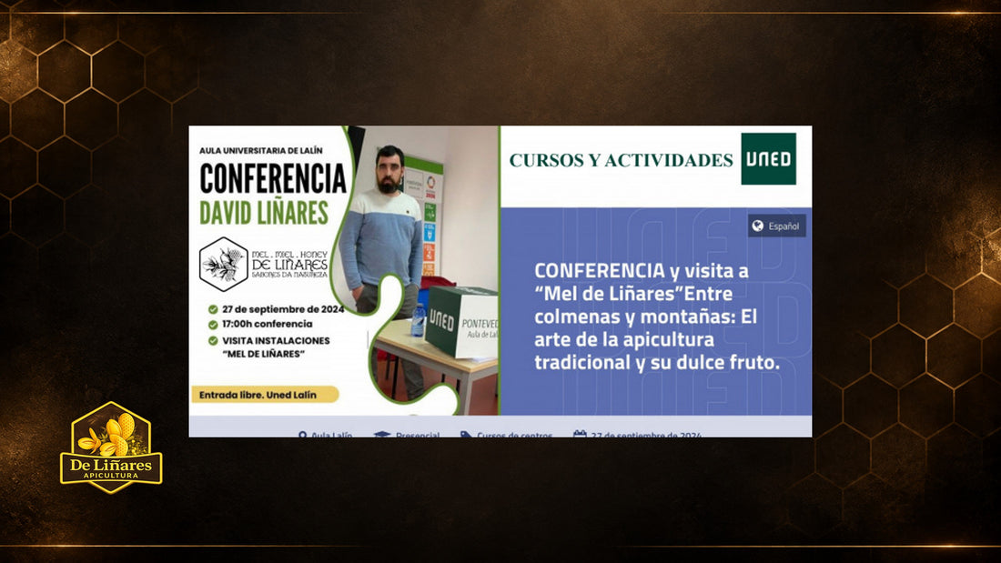 Entre colmenas y montañas El arte de la apicultura tradicional y su dulce fruto