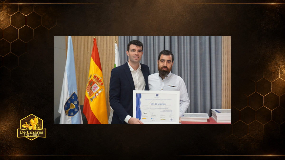 Estrenamos Sello de Calidad SICTED