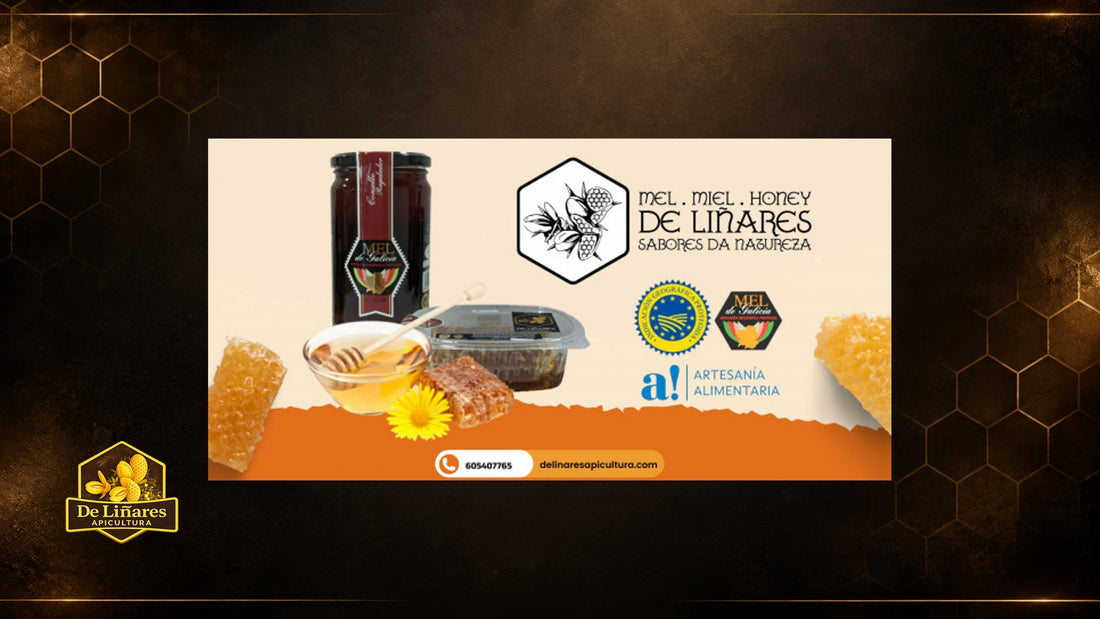 La Miel Artesanal de Galicia: Un valor añadido para tu oferta gourmet