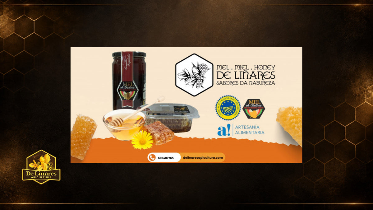 La Miel Artesanal de Galicia: Un valor añadido para tu oferta gourmet