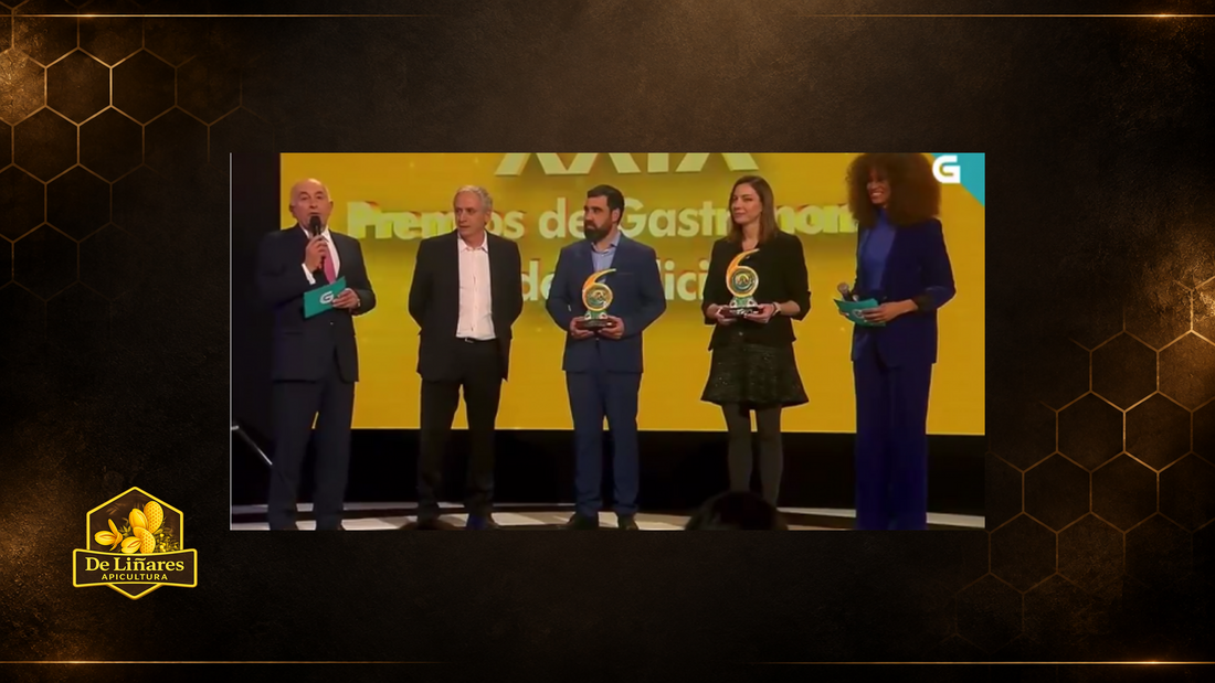 Premios da Gastronomía de Galicia