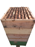 Colmenas de Abejas de Producción | De Liñares