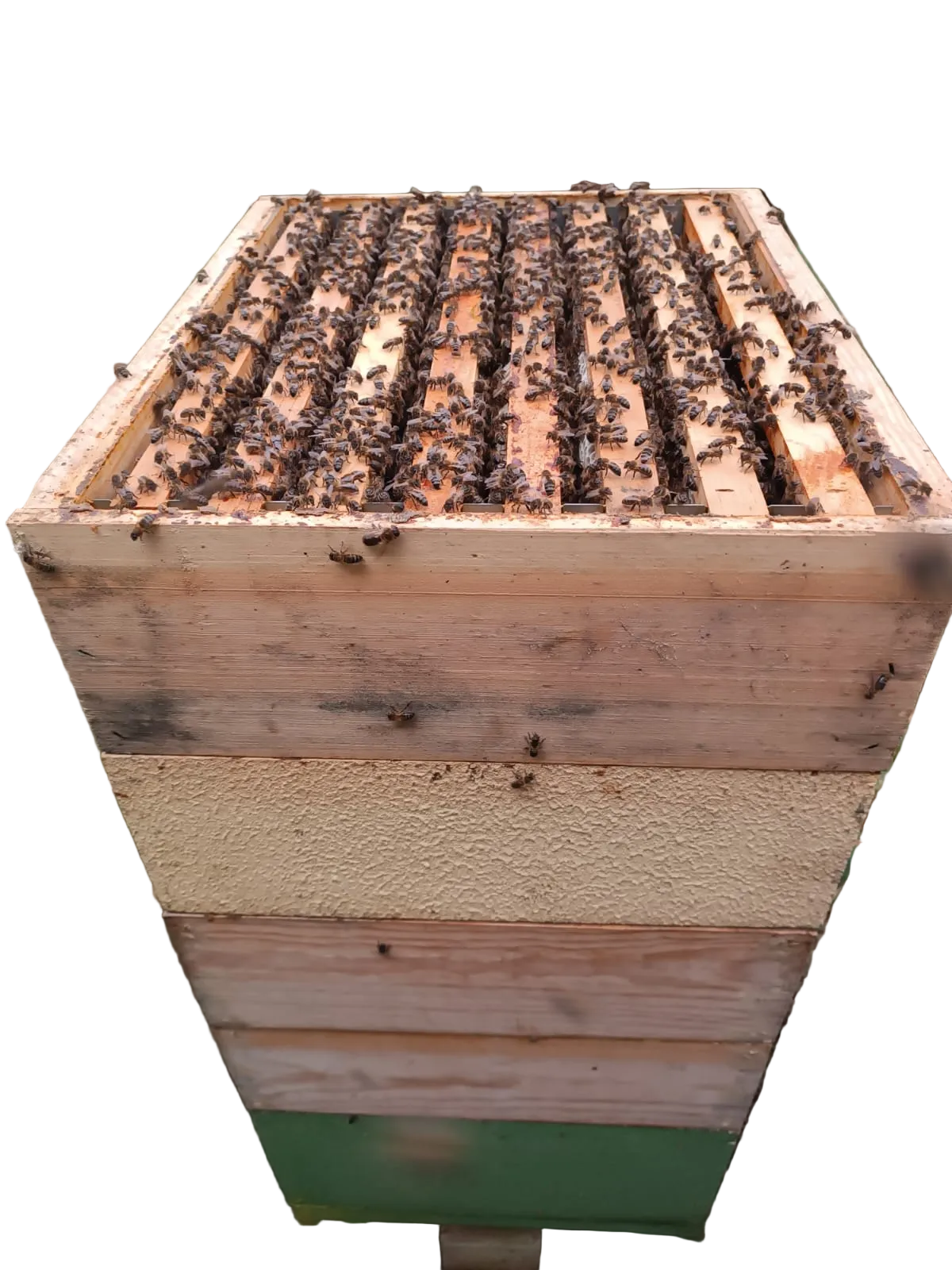 Colmenas de Abejas de Producción | De Liñares