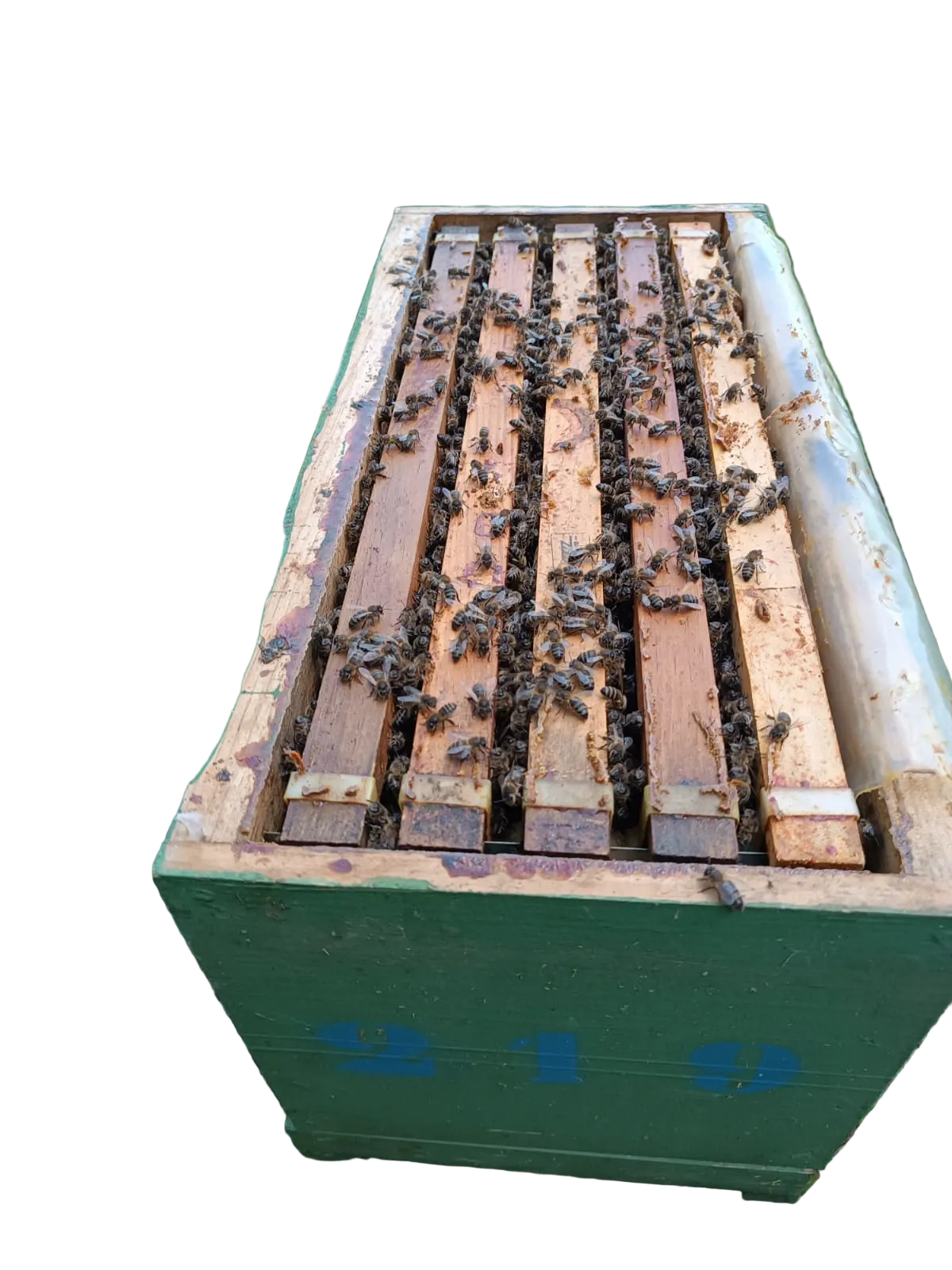 Núcleos de Abejas con Reina Fecundada | De Liñares