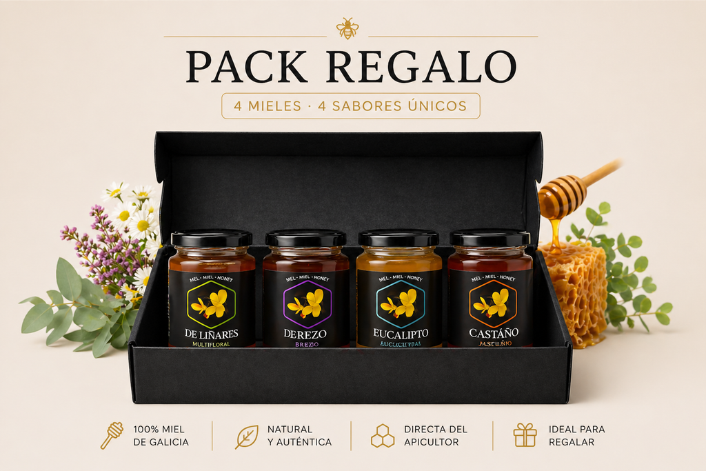 Pack Regalo 4 Mieles Naturales en Caja Negra de Lujo | Mel De Liñares