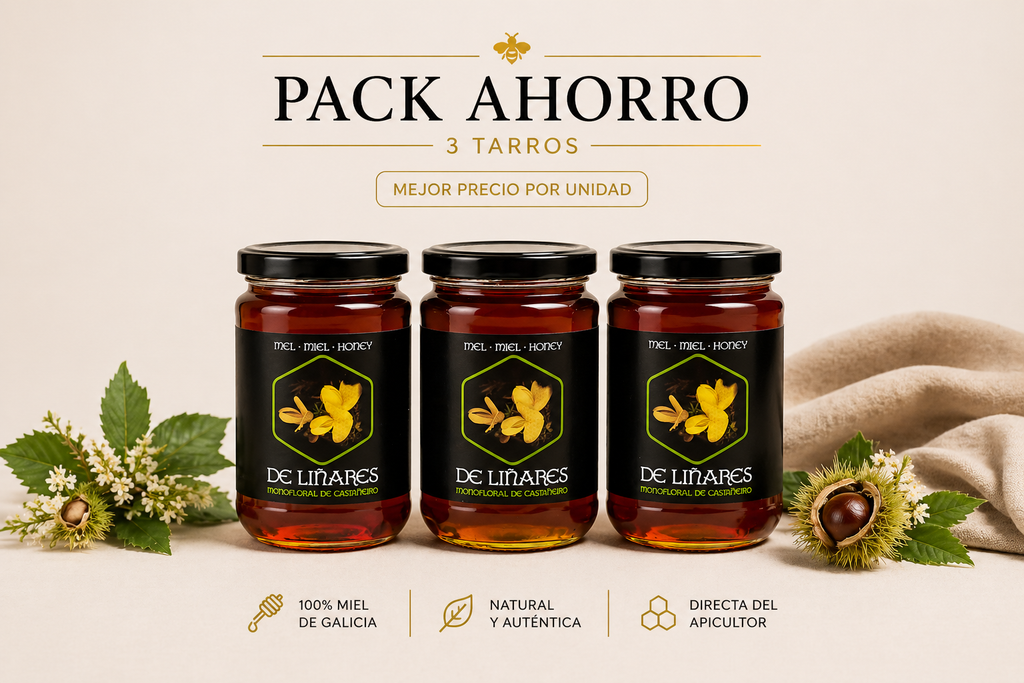 Pack Ahorro Miel Monofloral de Castaño x3 | Mel De Liñares