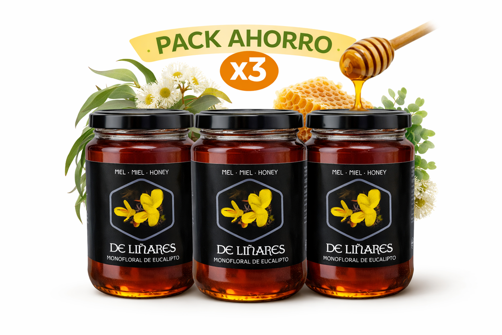 Pack Ahorro Miel Monofloral de Eucalipto x3 | Mel De Liñares