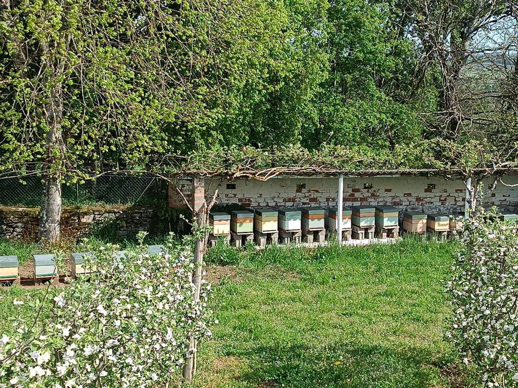 Servicios de Polinización con Abejas | De Liñares